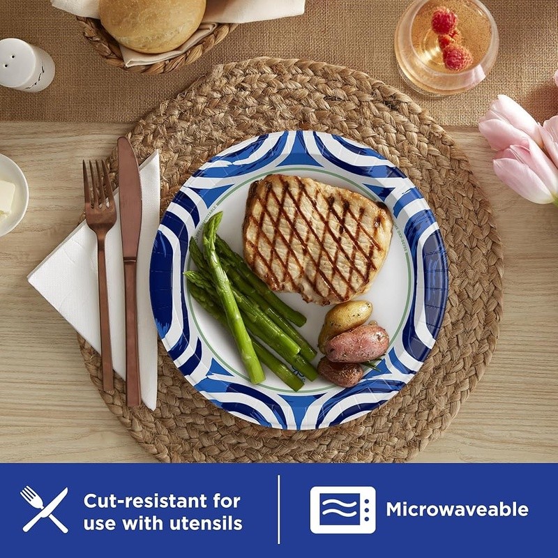 Heavy Duty Disposable Paper Plates 100 Count Compostable Microwave Safe New