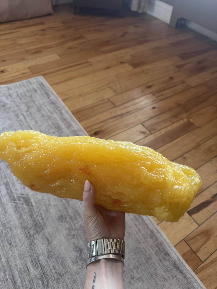 5 lbs of fat model