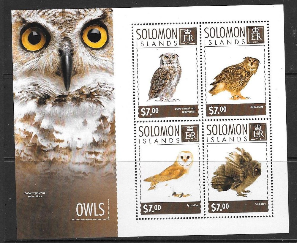 SOLOMON ISLANDS 2014 OWLS (1) MNH