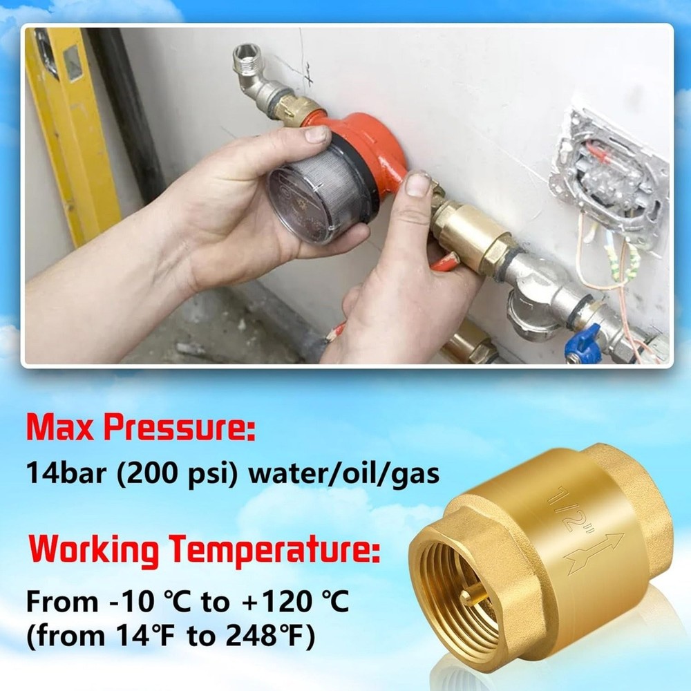 Brass Fuel System Check Valve 1/2 NPT One Way Backflow Preventer Push Lock