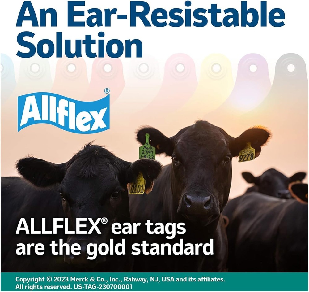 Maxi GLBL TAG GRN BLNK 25'S