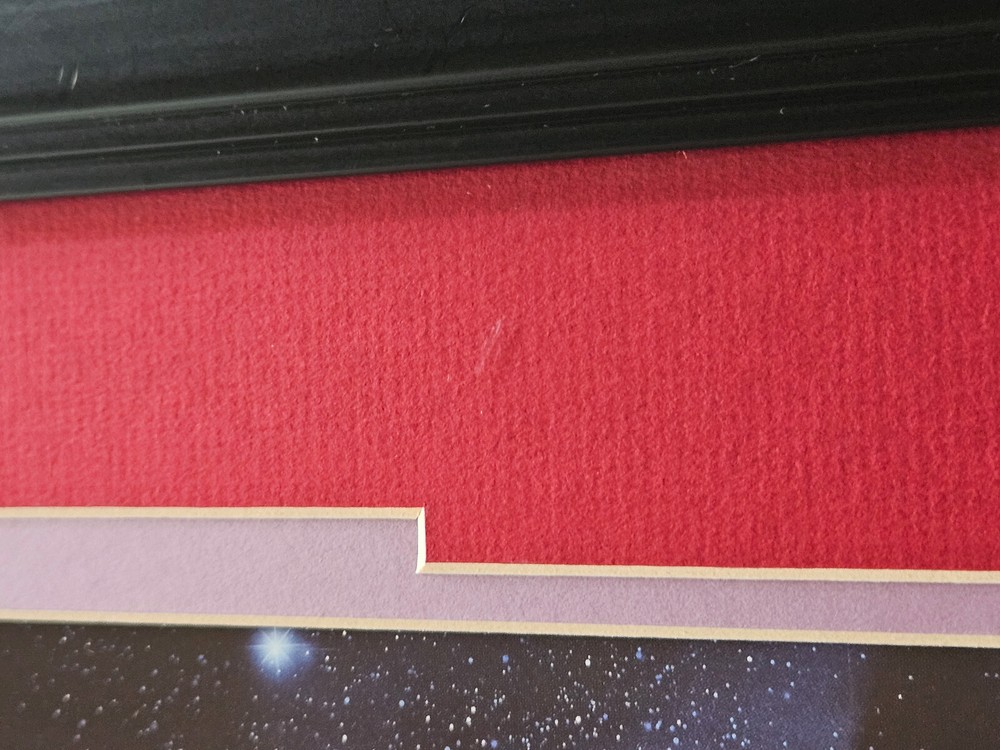 STAR TREK ~ Deep Space Nine ~ By Dru Blair - FRAMED