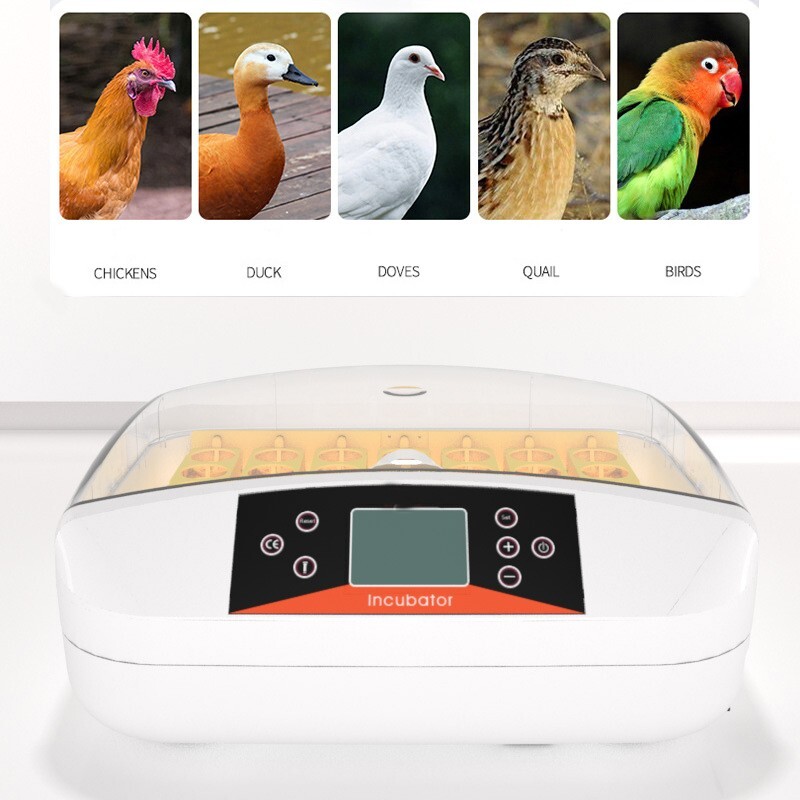 Egg Bird Incubator Automatic Poultry Hatcher Breeder Egg Turning 56 Eggs 110V