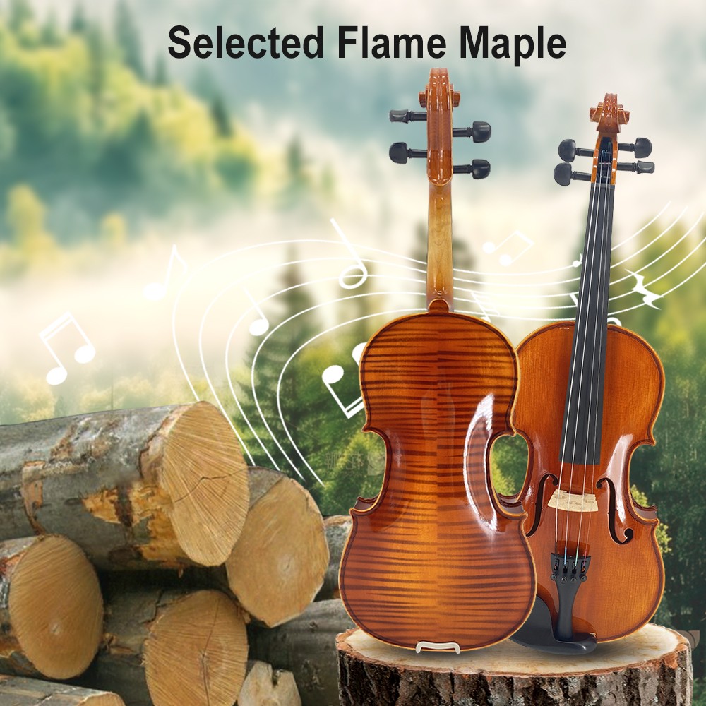 Advanced Beginner 4/4 Violin Outfit Hardshell Case Bow Adults New Nice