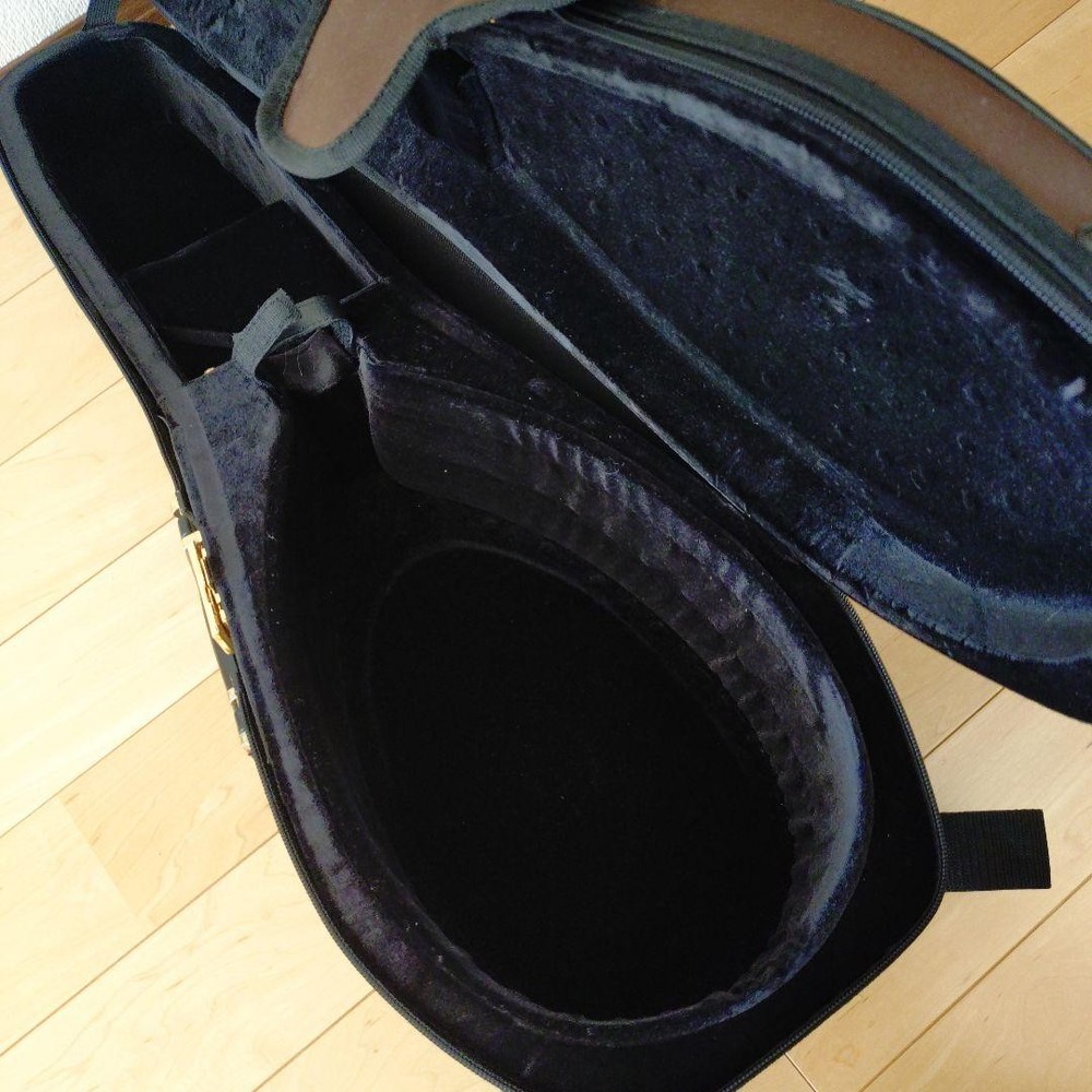 Colored Chemandolin 8 strings