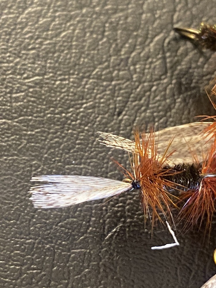 6 x John Storey Dry Fly #12.