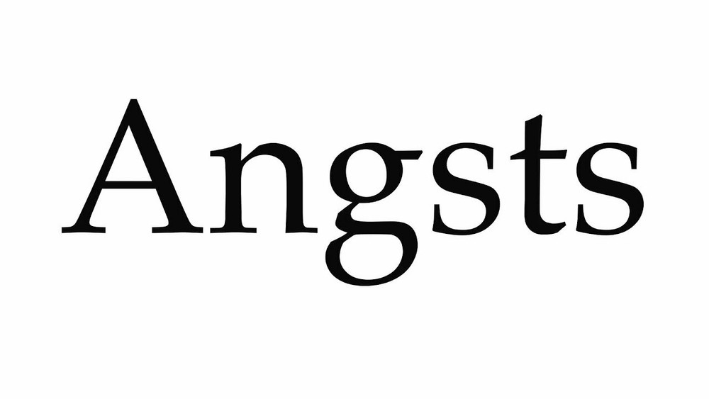 angsts.com Domain Name