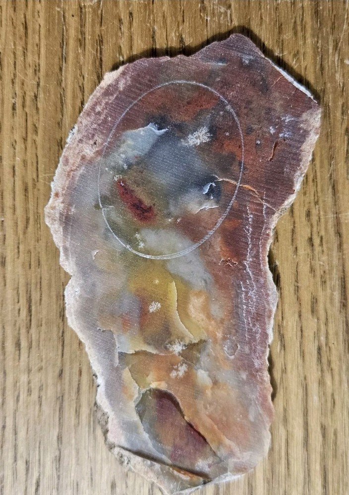 Rainbow Ridge Ledge Jasper Agate California 64 Grams