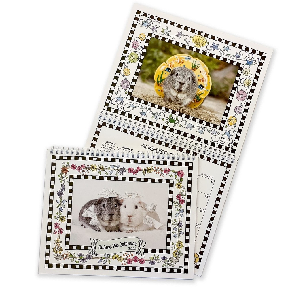 2022 Guinea Pig Calendar