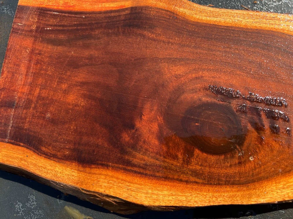 Hawaiian Milo Board #8566