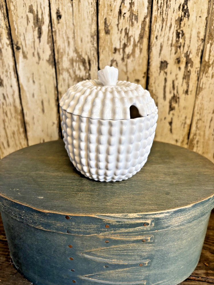 Vintage Spode English Bone China Cactus Shaped Jam Jar