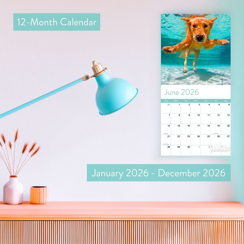 2026 Dogs Wall Calendar