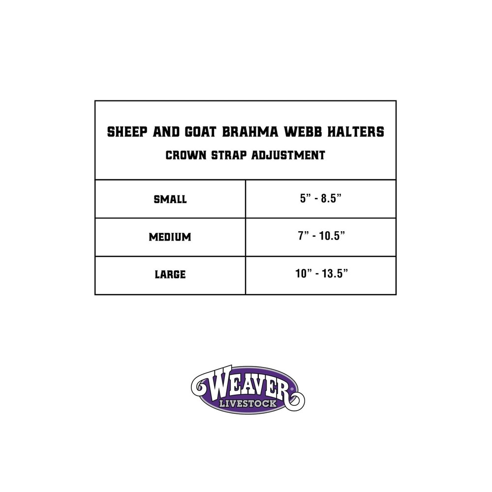 Brahma Webb Goat Halter, Medium, Brown
