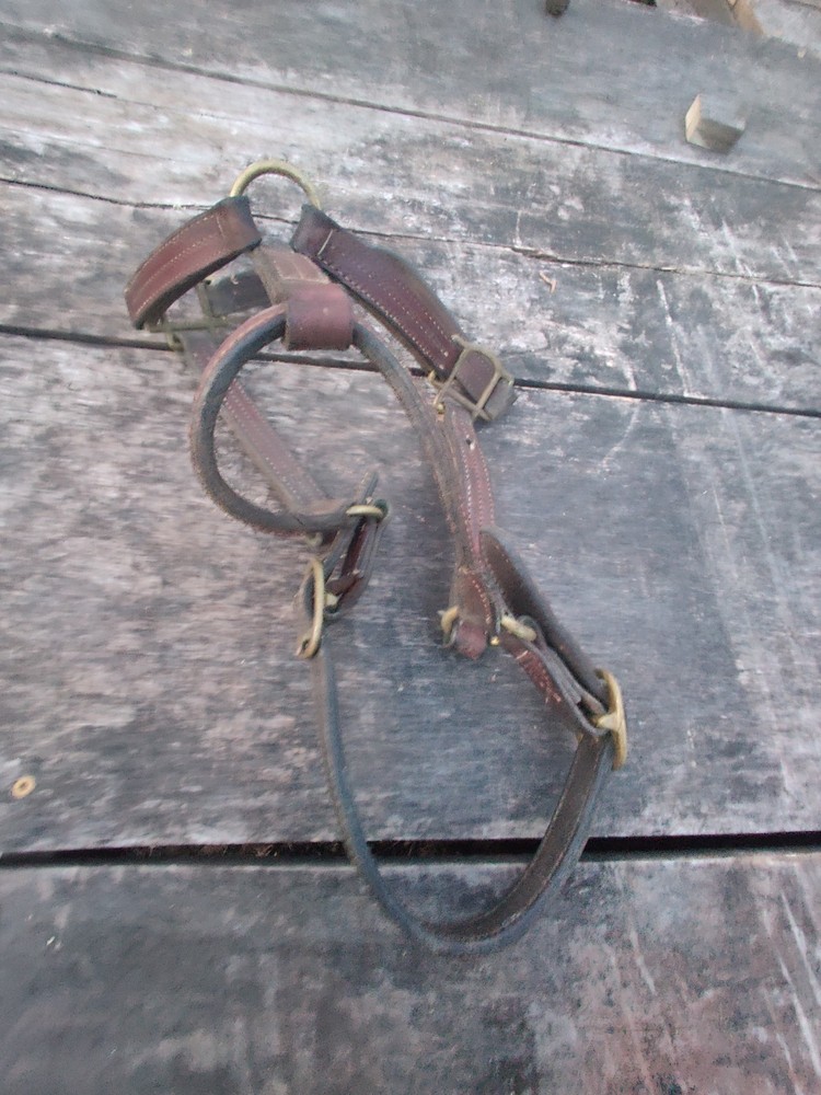 Horse Halter Copper Hardware