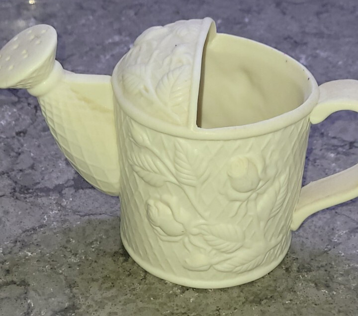 Vintage Ceramic Watering Can 4.5 Floral & Graphic Design
