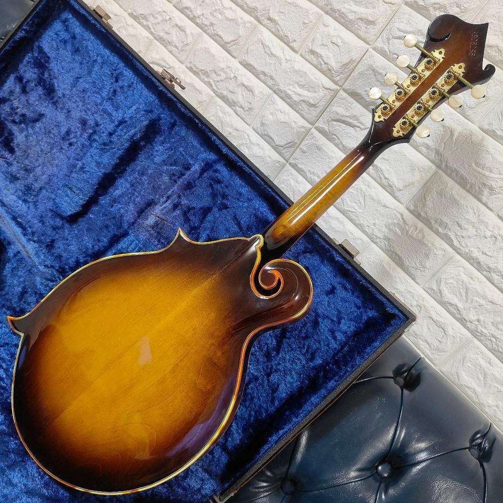 Fuji String Instruments BLUE BELL F-10 Made in 1980