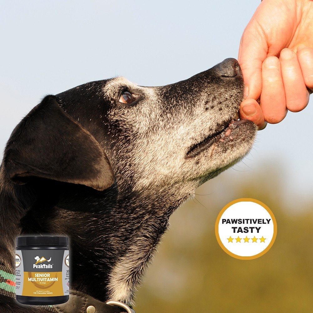 PeakTails Senior Multivitamin