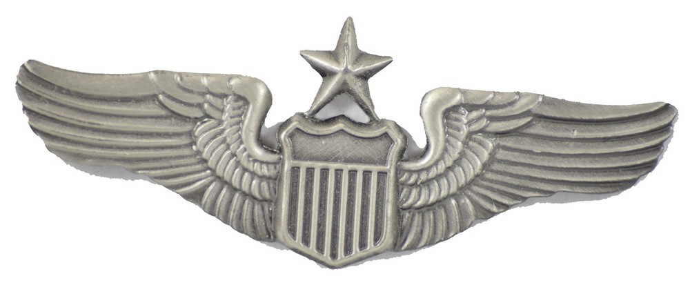SENIOR PILOT HAT PIN