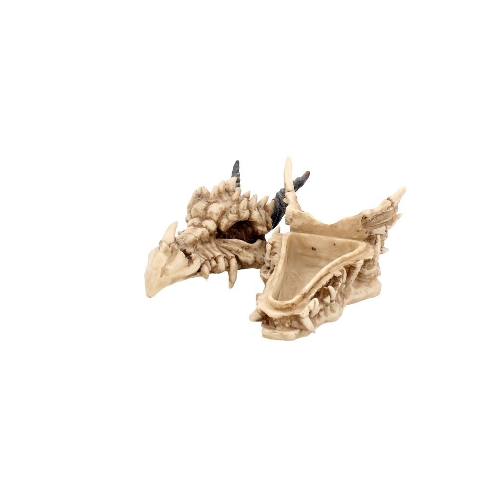 Nemesis Now Dragon Skull Box 15cm Ivory