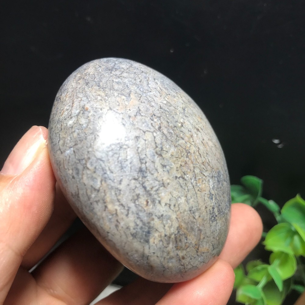 148g polished dinosaur bone specimen Madagascar 10