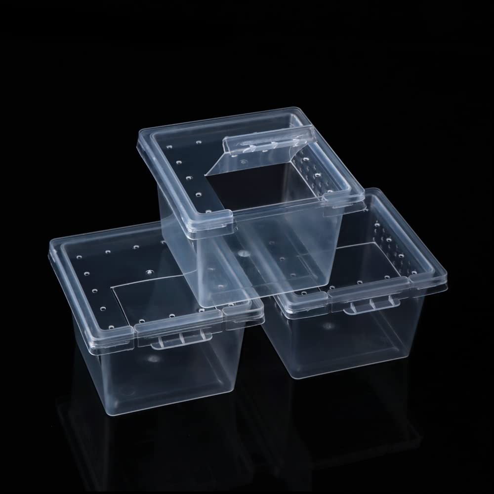 20 Pcs Spider Terrariums Breeding Box Hatching Container Acrylic Feeding Box ...