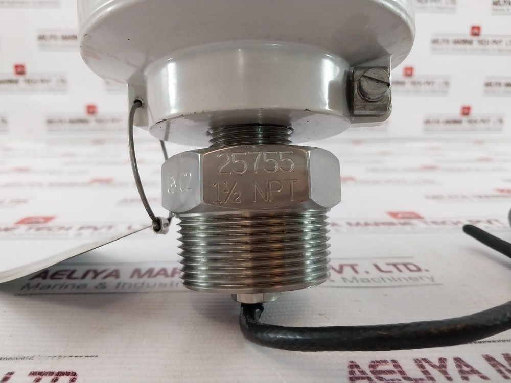 Siemens Pointek CLS200 Level Switch 10 Bar