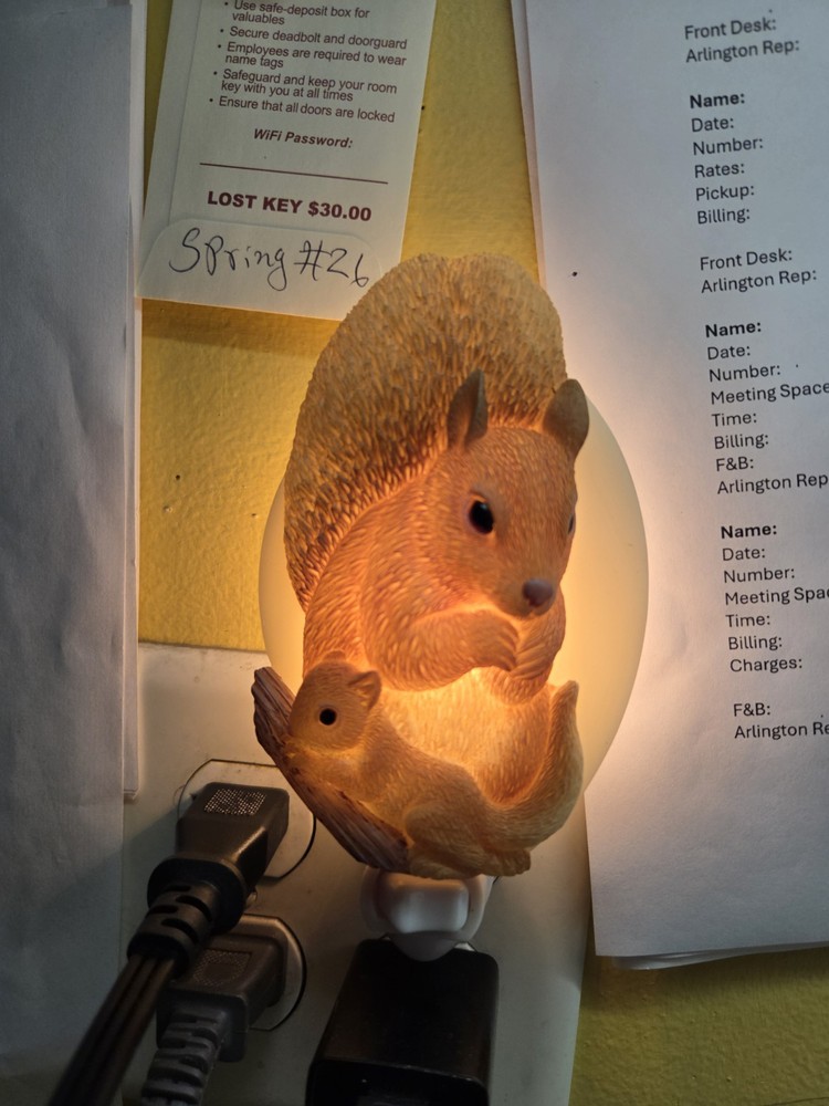NIB Ibis & Orchid squirrel Night Light