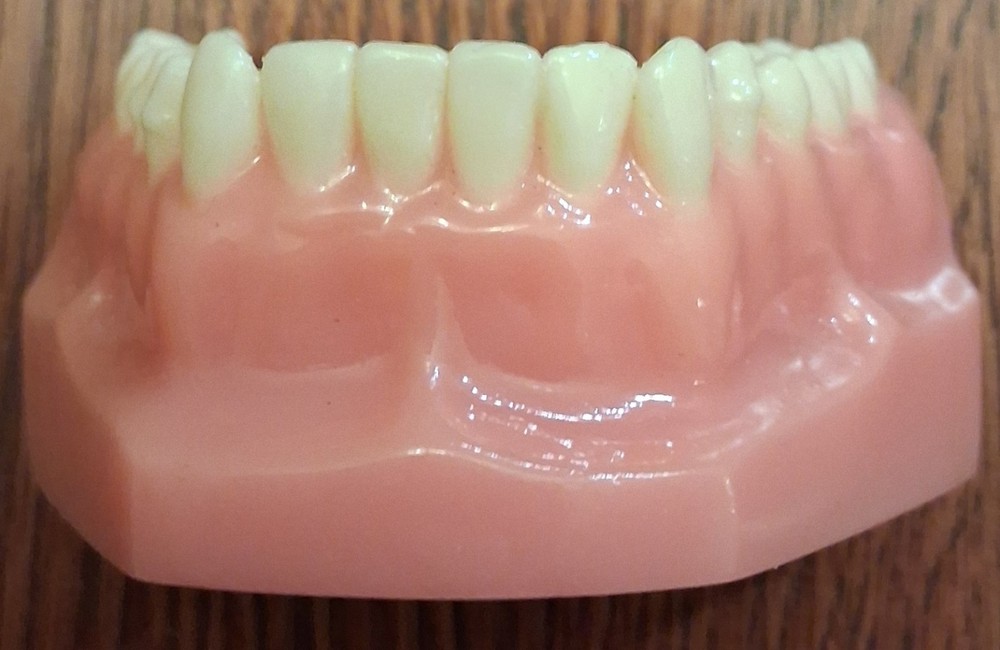 Invisalign Typodont