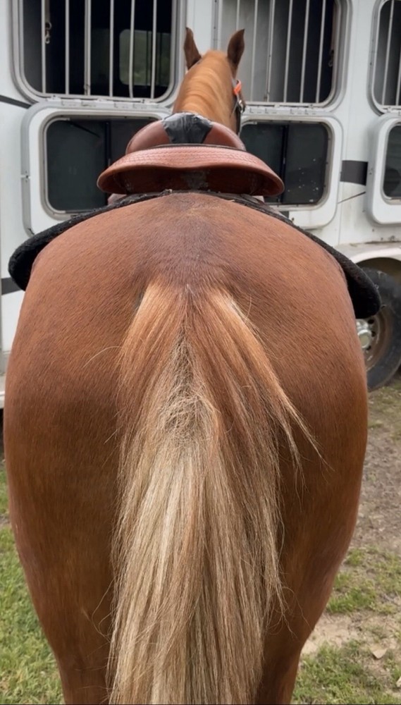 17” Western Saddle