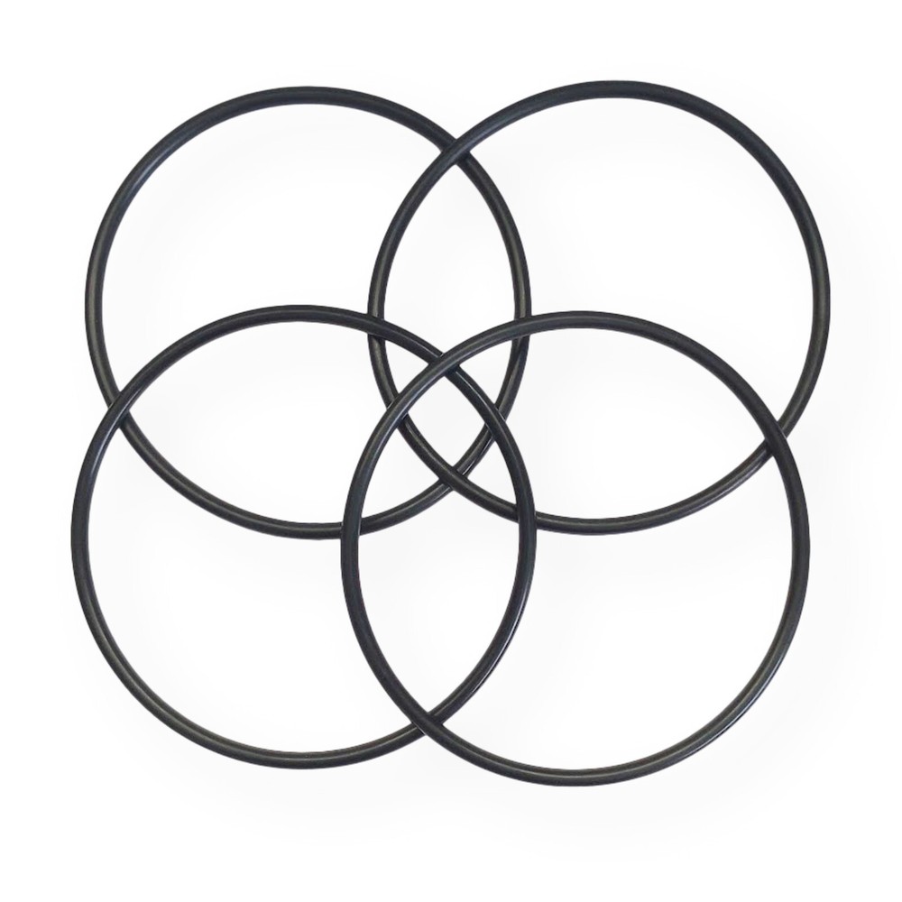 4 Pk Whole House Water Filter O-Ring for Campbell 10800-034