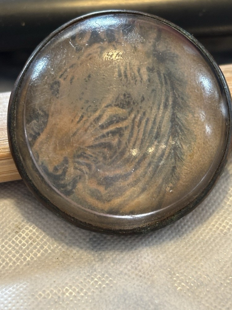 Bridle Rosette Zebra Rare