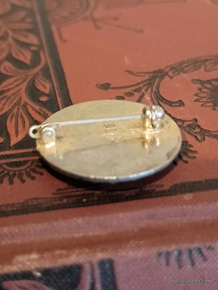 Certified Nursing Assistant 1974 Pin