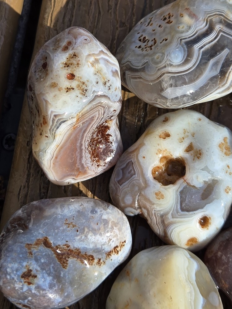 Botswana Agate Selects - WILD ONES - Rough, Natural, Not Polished A+ Grade