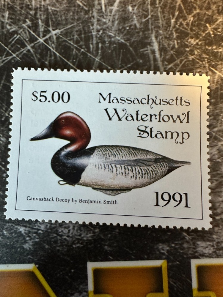1991 Massachusetts State Duck Stamp,