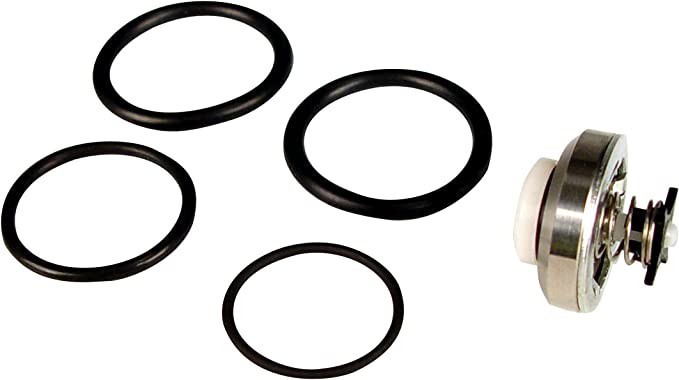 Wagner Spraytech 515221 Inlet Valve Kit