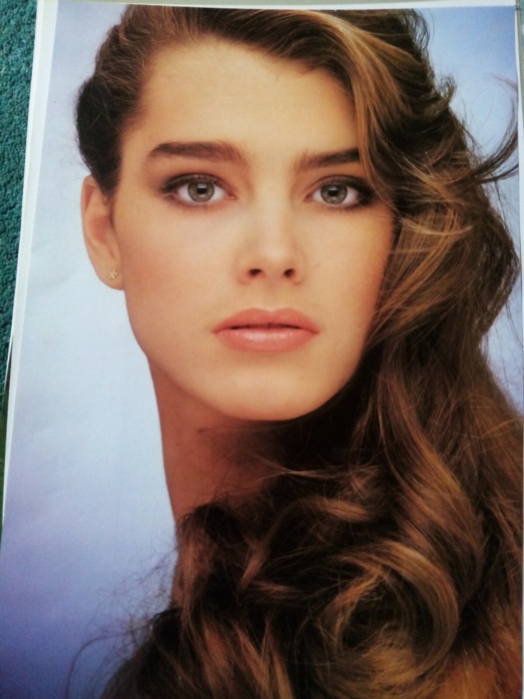 El93 Ephemera 1981 picture brooke shields