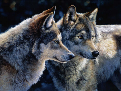 Chart Needlework Crafts DIY - Counted Cross Stitch Pattern - Two Wolves