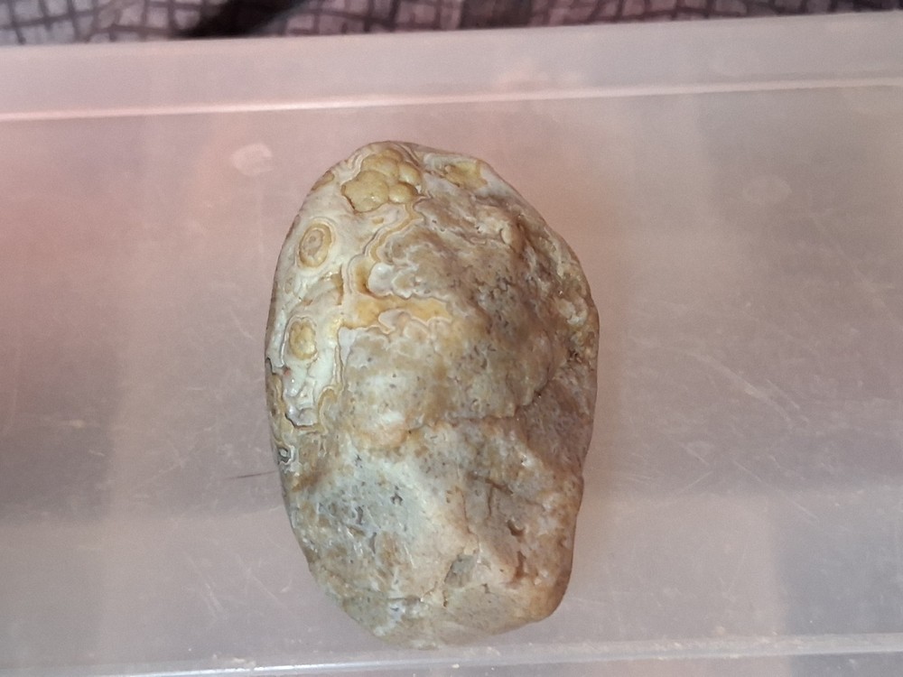 Nebraska Fairburn Agate