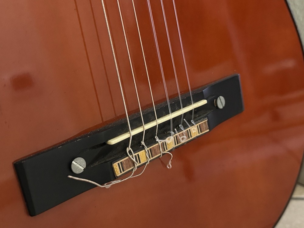 Eko CS-10 Classical Guitar 4/4 - Nylon Strings - Beginner Guitar