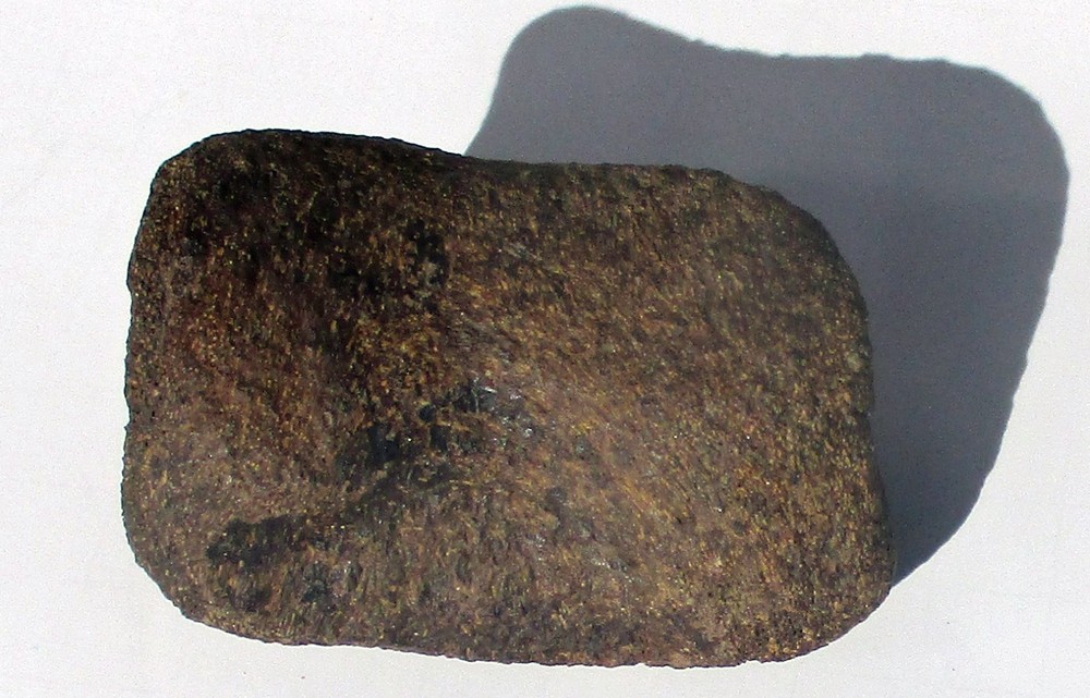 Edmontosaurus Toe Bone - Hell Creek Formation Montana