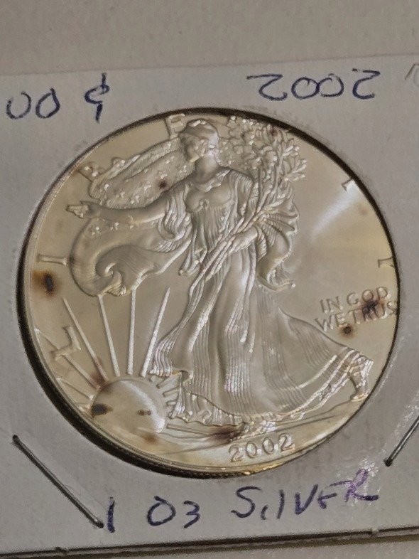 2002 US $1 American Silver Eagle ASE 1oz Fine Silver Uncirculated