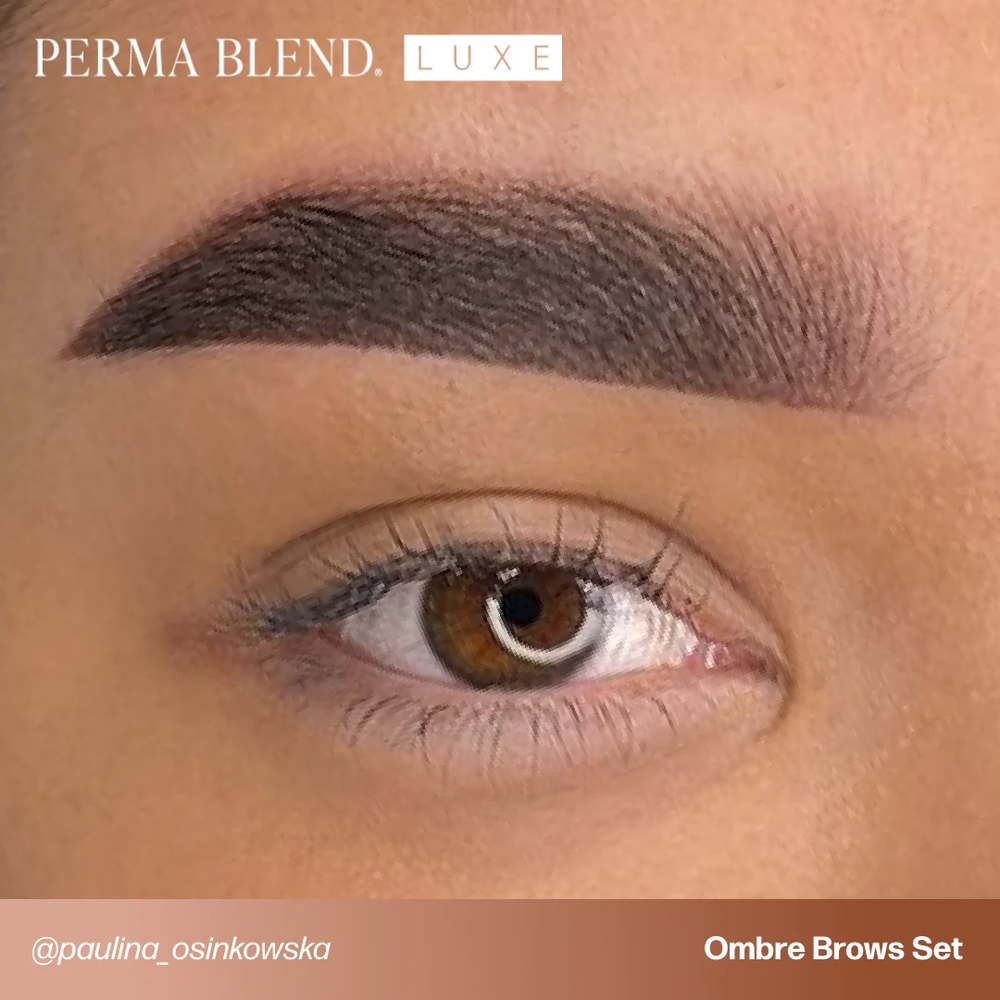 Perma Blend LUXE x Osinkowska Ombre Brows Collection Set Kit Microblading
