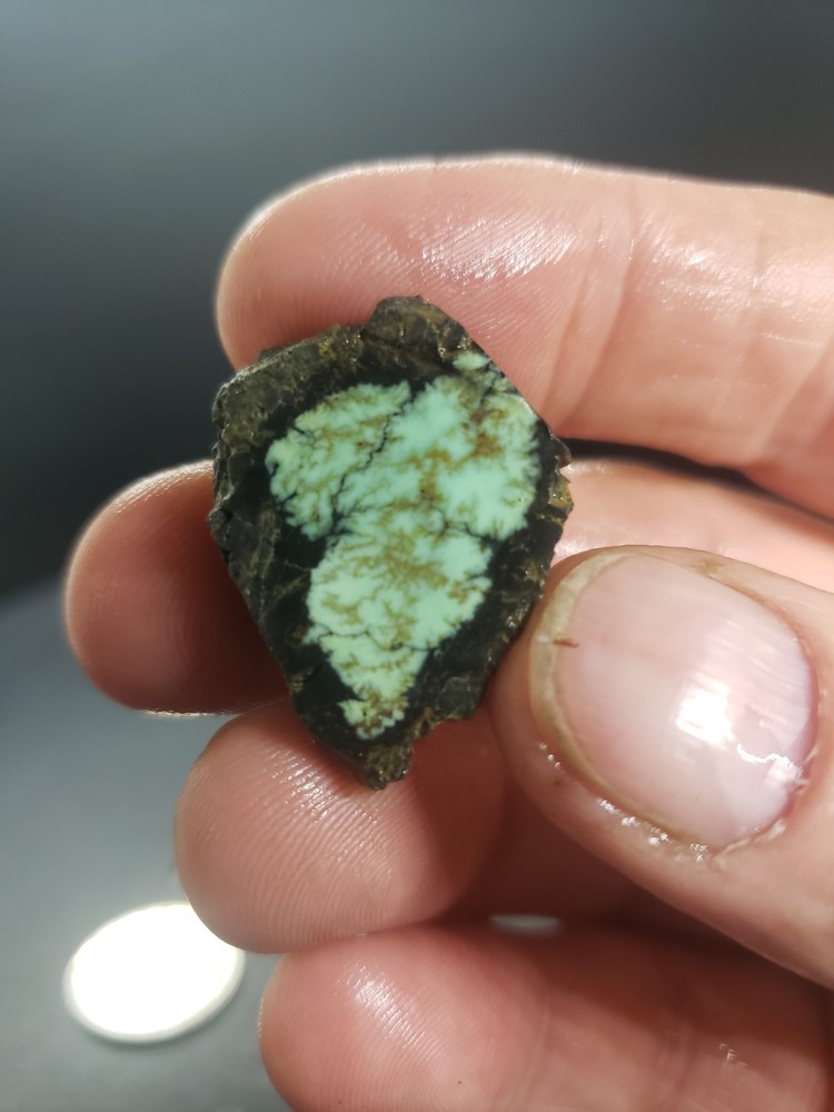 Saguaro Variscite Slab