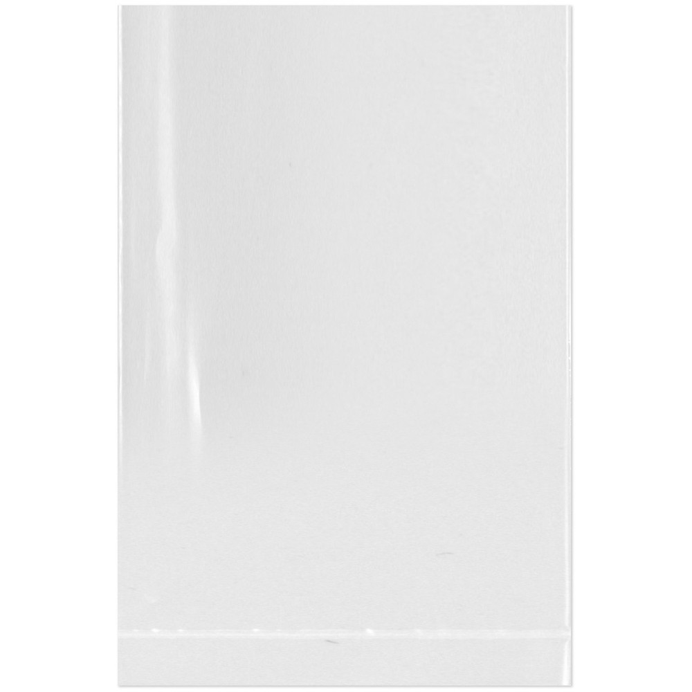 Plymor 2" x 3", 4 Mil Flat Open Clear Plastic Poly Bags