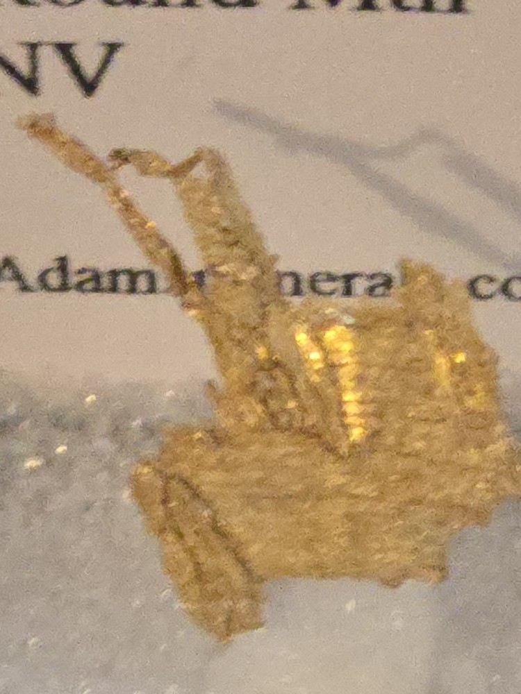 Beautiful Round Mountain Gold specimen