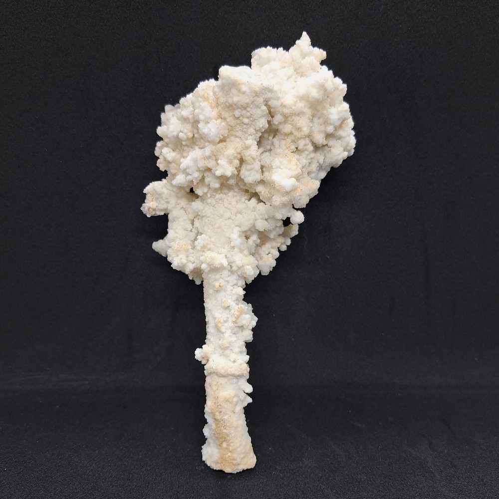 Aragonite