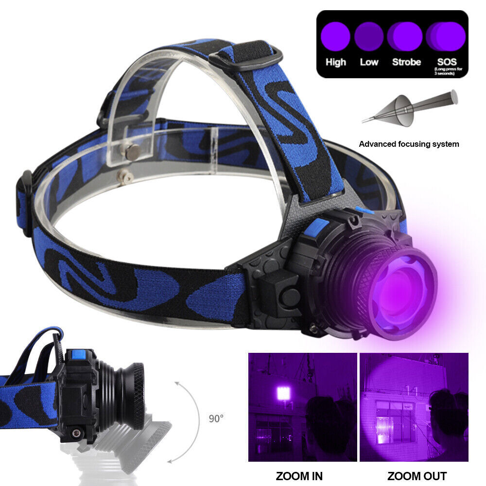 Blacklight UV LED Headlamp Flashlight Head Light+Build-in Rechargeable Battery