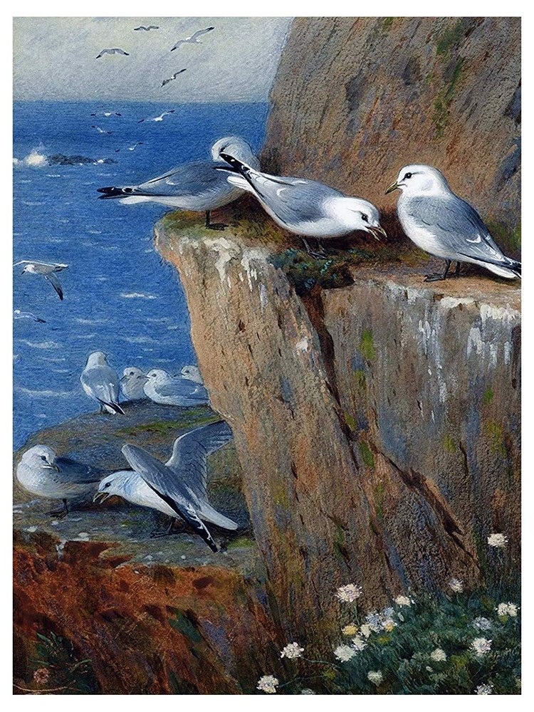 Seagulls A. Thorburn Birds Seascape Rocks Tile Mural Kitchen Backsplash Ceramic