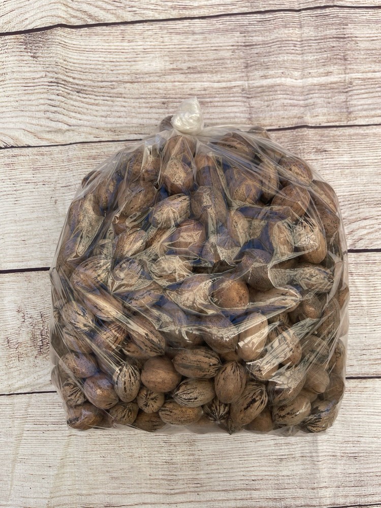 Organic Texas Pecans 5 LBS Raw in Shell - Non GMO