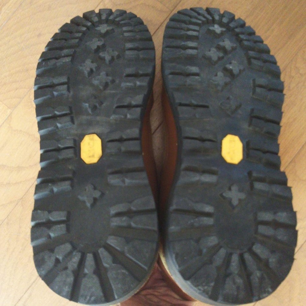 Danner feather light